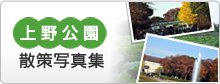 上野公園 散策写真集